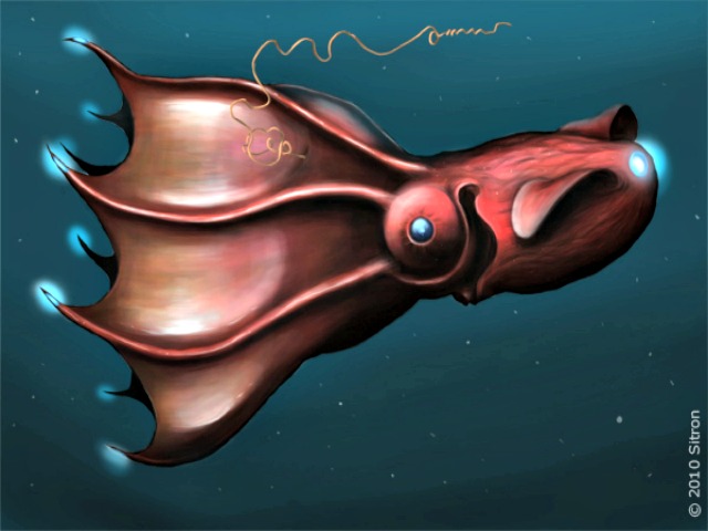 Vampire_squid_Vampire_des_abysses