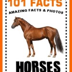 Horse Books for Kids