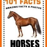 101 Horse Facts