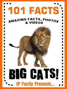 101 big cats facts