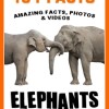 101 elephants facts
