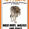 101 wild dogs wolves foxes facts