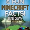 101 Weird & Fun Minecraft Facts!" Did You Know...?