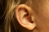 Human Ear