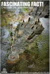 Crocodylus_acutus_mexico