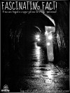 Mine_tunnel_Le_Souterroscope_des_Ardoisieres_Normandy