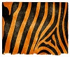 Tiger_Stripe