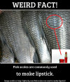 Fish scales lipstick