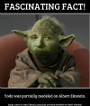yoda-einstein