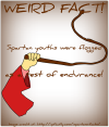 Spartans Facts