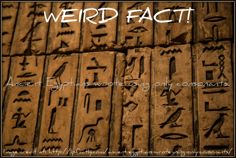 Hieroglyphs