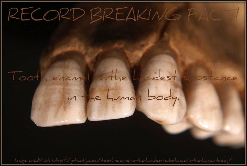 Tooth Enamel