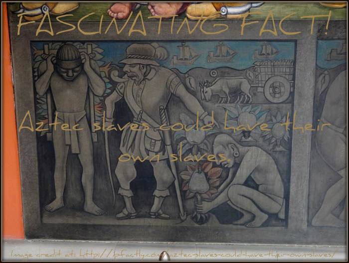 Aztec Slave