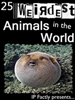 25 Weirdest Animals in the World!
