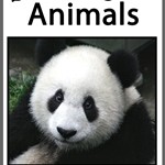 25 of the Worlds Most Endangered Animals
