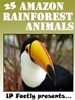 25 Amazon Rainforest Animals