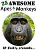 25 Apes and Monkeys