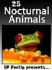 25 Nocturnal Animals