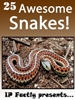 25 Awesome Snakes