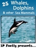 25 Whales, Dolphins and other Sea Mammals