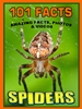 101 Spider Facts 101 Spider Facts