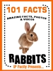 101 rabbit facts