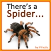 There’s a Spider – Rhyming Book There's a Spider... (Animal Rhyming Books For Children)