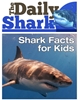 The-Daily-Shark-100