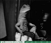 Lizard Poses Like a King.