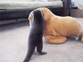 Otter take down