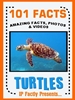 101 turtle facts