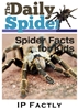 The Daily Spider