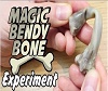 Magic Bendy Bone