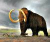 Extinct Animals Quiz Woolly_mammoth