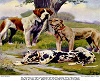 Large_dog_breeds