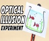 Optical Illusion Experiment.